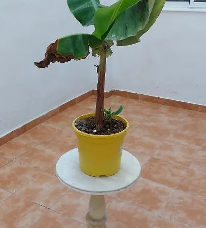 Ξενοδοχείο με διαμερίσματα Lyesblb